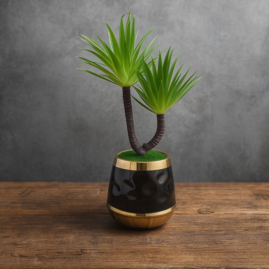 Potted plant with a black and gold pot on a wooden surface