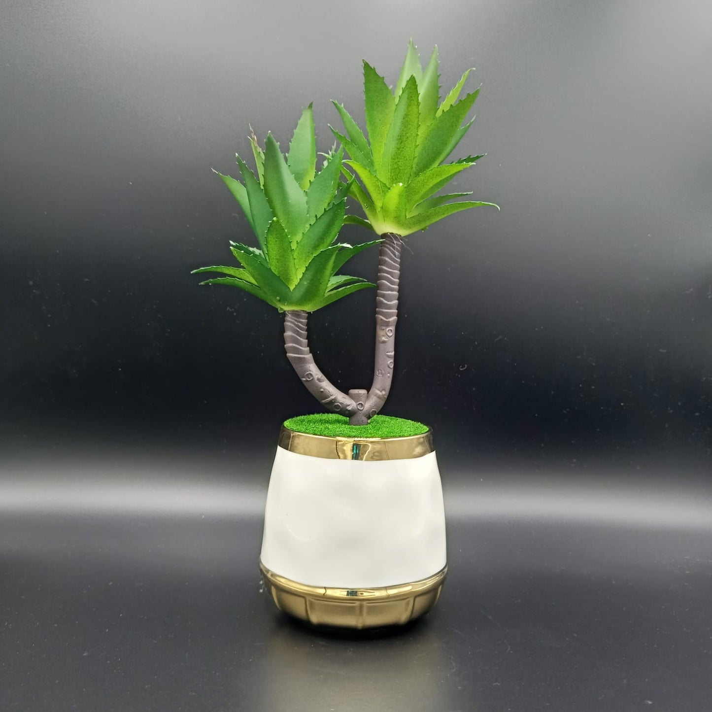 Potted plant with a white and gold pot on a dark background