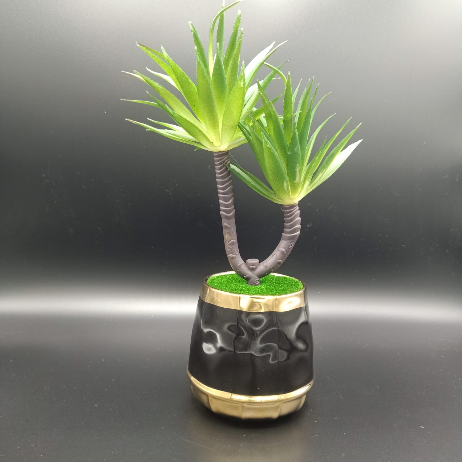 Potted plant with a unique design on a dark background