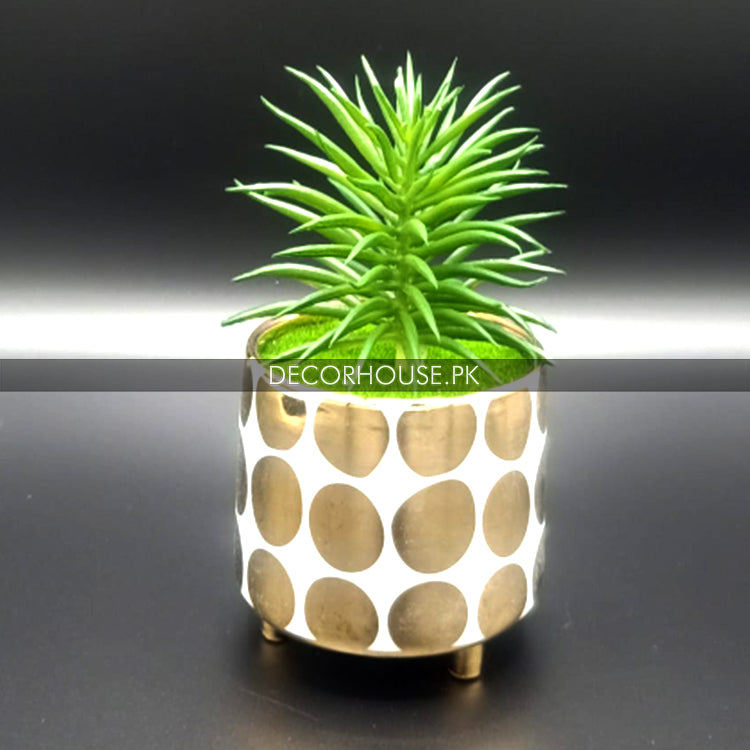 Ceramic Flowerpot