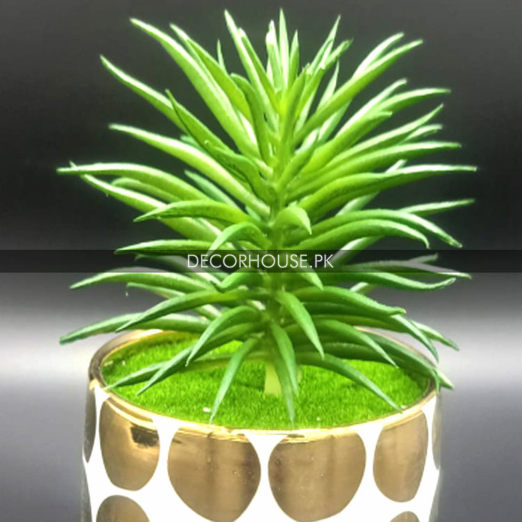 Ceramic Flowerpot