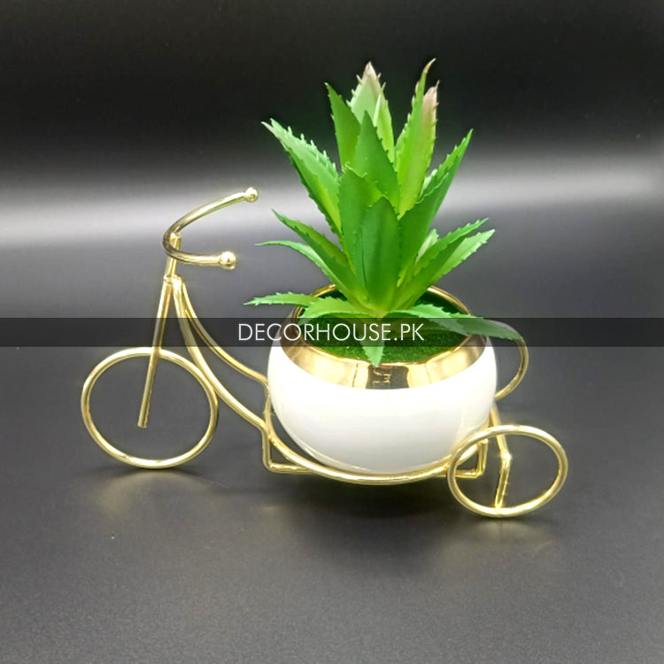 Plant & pot with Metallic Cycle Stand