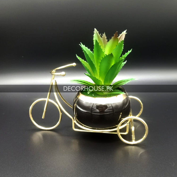Plant & pot Black Color with Metallic Cycle Stand