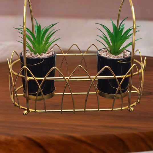 Gold decorative basket with two potted plants on a wooden surface