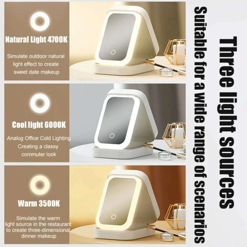 LED Mirror Makeup Storage Box Portable Travel Makeup Case Cosmetic Bag