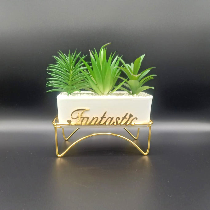 Fantastic Succulent Trio in Golden Stand