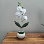 White Blossom Artificial Plant and Pot