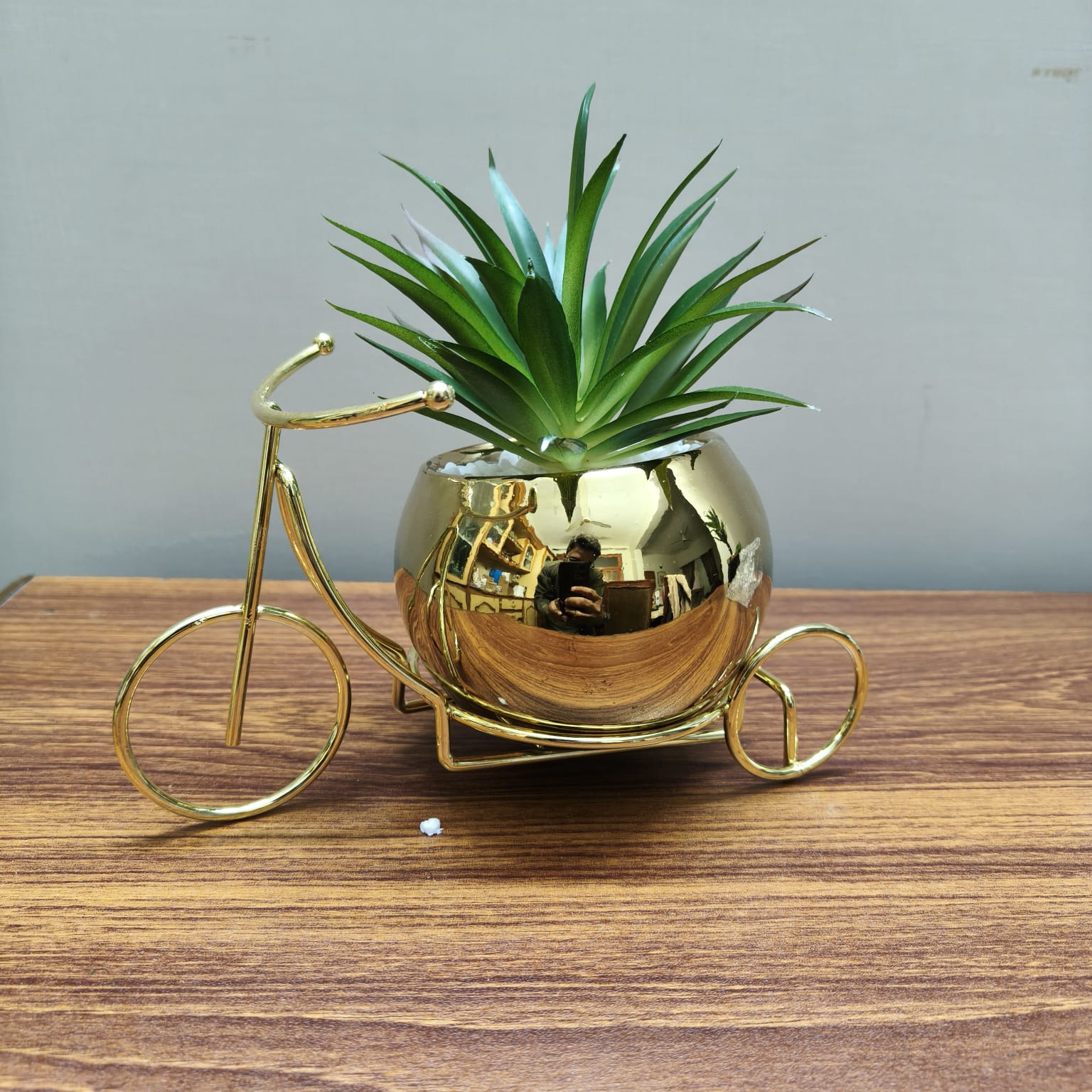 Plant & Golden pot with Metallic Cycle Stand