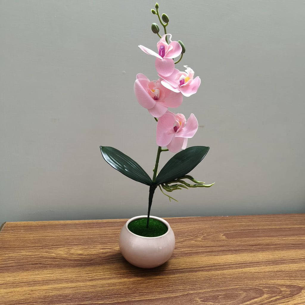 Pink Blossom Artificial Plant and Pot