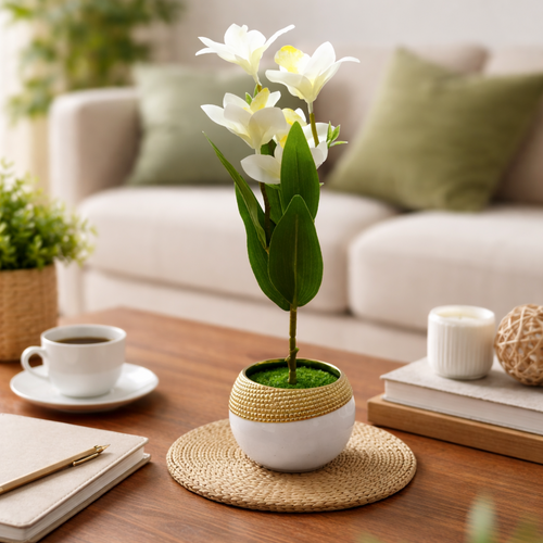 Potted plant on a wooden table in a living room with a couch and decor items.