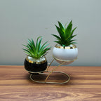 Modern black and white Planter