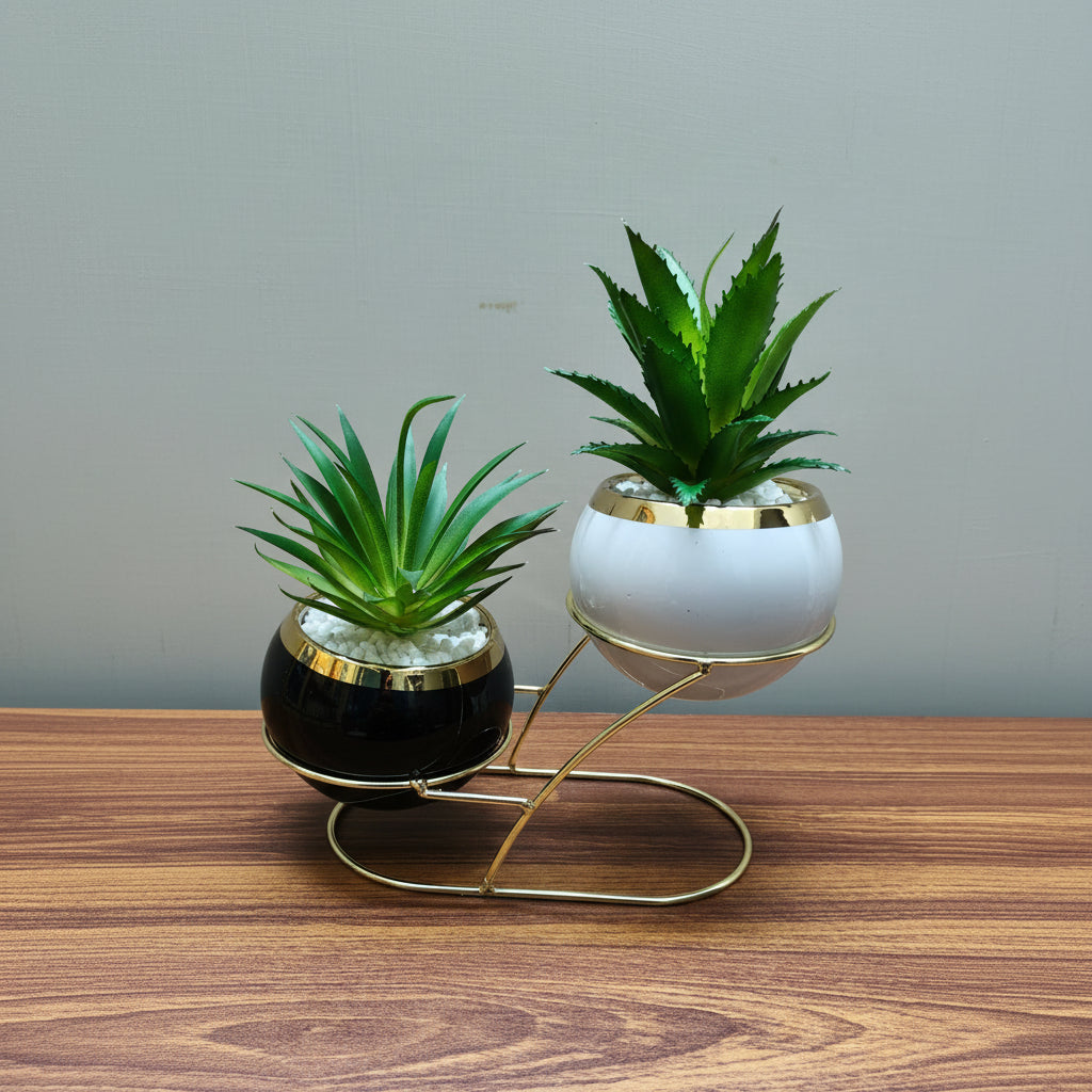 Modern black and white Planter