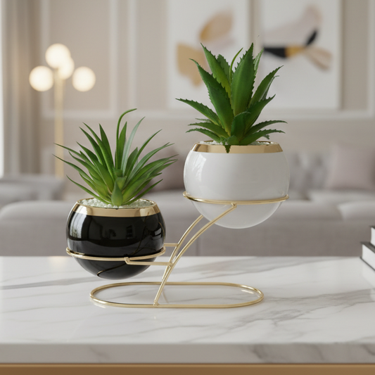 Modern black and white Planter